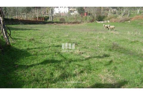 Terra a Cinfaes, Viseu, Cinfaes - € 23.500 | Ref: MC05973 - foto 16