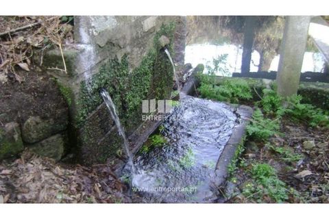 Terra a Cinfaes, Viseu, Cinfaes - € 23.500 | Ref: MC05973 - foto 17