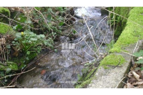 Terra a Cinfaes, Viseu, Cinfaes - € 23.500 | Ref: MC05973 - foto 18