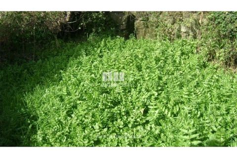 Terra a Cinfaes, Viseu, Cinfaes - € 23.500 | Ref: MC05973 - foto 19