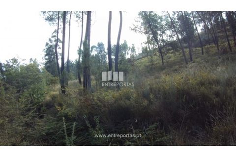 Helårsgrund i Amarante, Porto, Amarante - € 40.000 | Ref: MC06130 - foto 5