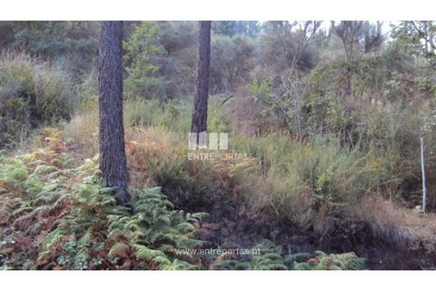 Helårsgrund i Amarante, Porto, Amarante - € 40.000 | Ref: MC06130 - foto 6