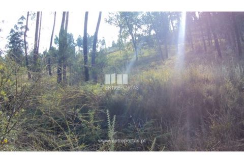 Helårsgrund i Amarante, Porto, Amarante - € 40.000 | Ref: MC06130 - foto 7