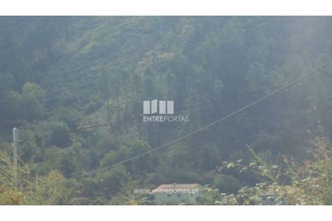 Helårsgrund i Amarante, Porto, Amarante - € 40.000 | Ref: MC06130 - foto 11