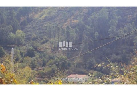 Helårsgrund i Amarante, Porto, Amarante - € 40.000 | Ref: MC06130 - foto 12