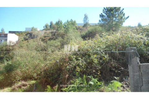 Terra a Paredes, Porto, Paredes - € 60.000 | Ref: MC06179 - foto 2