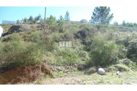 Terra a Paredes, Porto, Paredes - € 60.000 | Ref: MC06179 - foto 3