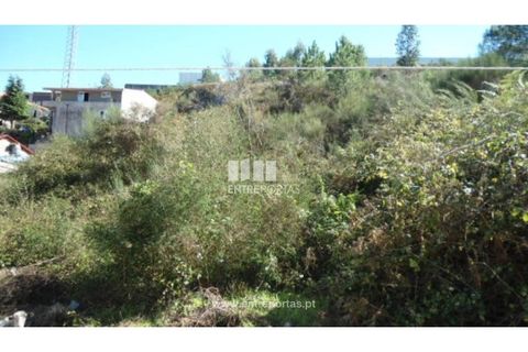 Terra a Paredes, Porto, Paredes - € 60.000 | Ref: MC06179 - foto 4