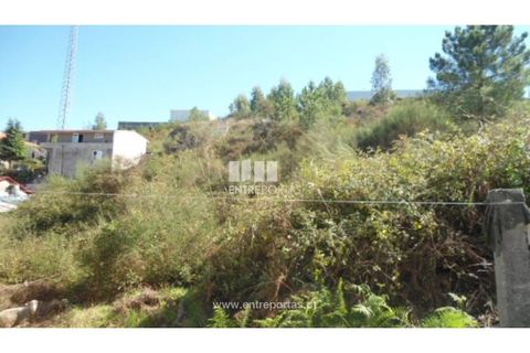 Terra a Paredes, Porto, Paredes - € 60.000 | Ref: MC06179 - foto 5