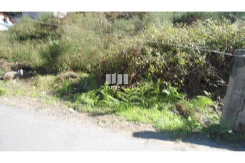 Terra a Paredes, Porto, Paredes - € 60.000 | Ref: MC06179 - foto 6