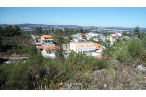 Terra a Paredes, Porto, Paredes - € 60.000 | Ref: MC06179 - foto 7