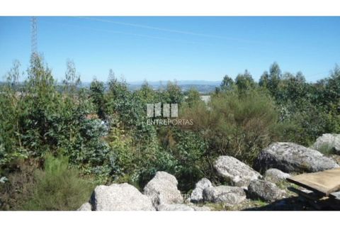 Terra a Paredes, Porto, Paredes - € 60.000 | Ref: MC06179 - foto 8