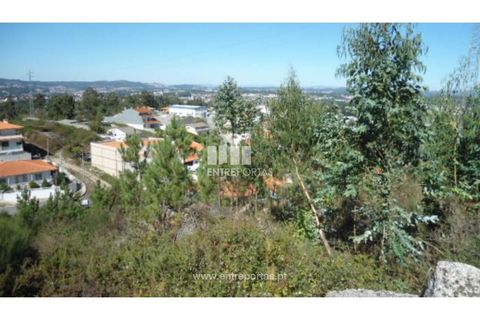 Terra a Paredes, Porto, Paredes - € 60.000 | Ref: MC06179 - foto 9