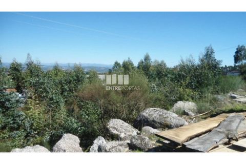 Terra a Paredes, Porto, Paredes - € 60.000 | Ref: MC06179 - foto 10