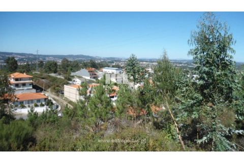 Terra a Paredes, Porto, Paredes - € 60.000 | Ref: MC06179 - foto 11