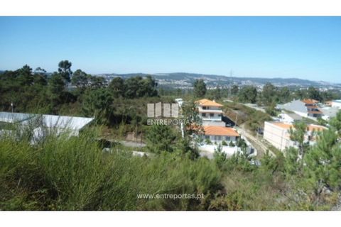 Terra a Paredes, Porto, Paredes - € 60.000 | Ref: MC06179 - foto 12