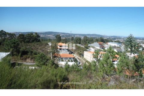 Terra a Paredes, Porto, Paredes - € 60.000 | Ref: MC06179 - foto 13