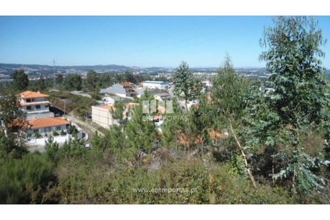 Terra a Paredes, Porto, Paredes - € 60.000 | Ref: MC06179 - foto 14