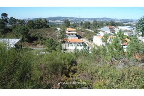 Terra a Paredes, Porto, Paredes - € 60.000 | Ref: MC06179 - foto 15