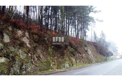 Helårsgrund i Amarante, Porto, Amarante - € 320.000 | Ref: MC06193 - foto 1