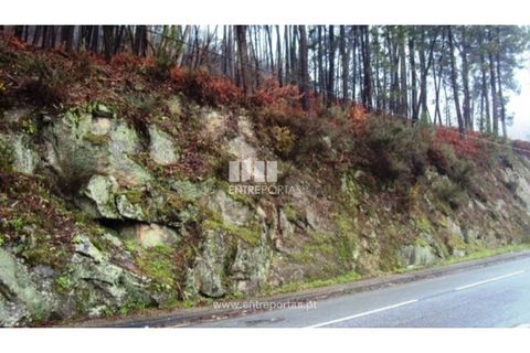 Helårsgrund i Amarante, Porto, Amarante - € 320.000 | Ref: MC06193 - foto 2