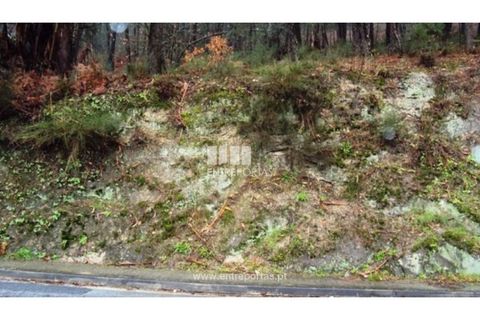 Helårsgrund i Amarante, Porto, Amarante - € 320.000 | Ref: MC06193 - foto 3