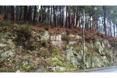 Helårsgrund i Amarante, Porto, Amarante - € 320.000 | Ref: MC06193 - foto 4