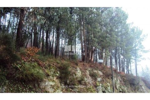 Helårsgrund i Amarante, Porto, Amarante - € 320.000 | Ref: MC06193 - foto 6