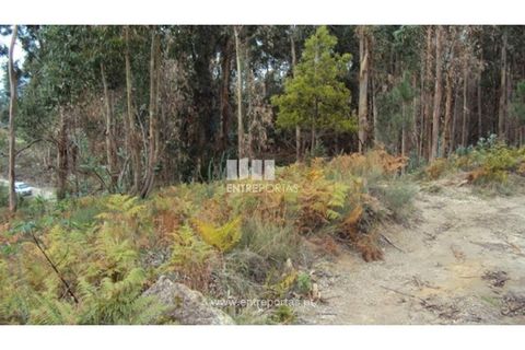 Terra a Galegos, Porto, Galegos - € 21.000 | Ref: MC06301 - foto 2