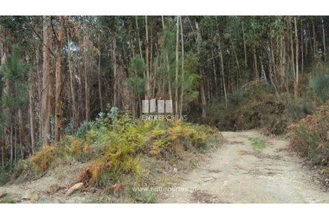 Terra a Galegos, Porto, Galegos - € 21.000 | Ref: MC06301 - foto 4