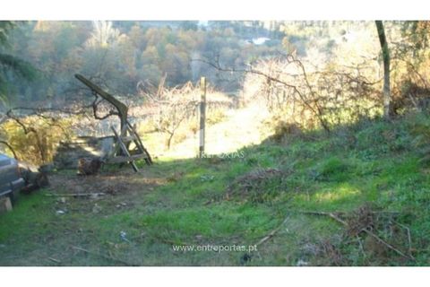 Helårsgrund i Baiao, Porto, Baiao - € 56.500 | Ref: MC06362 - foto 1