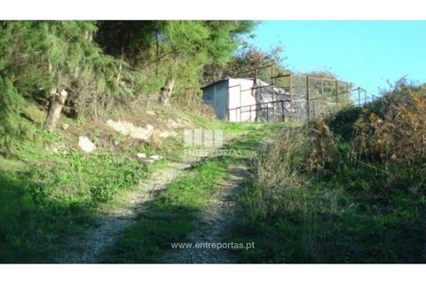 Helårsgrund i Baiao, Porto, Baiao - € 56.500 | Ref: MC06362 - foto 2
