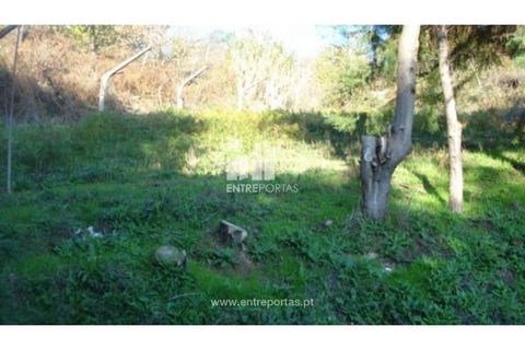 Helårsgrund i Baiao, Porto, Baiao - € 56.500 | Ref: MC06362 - foto 4