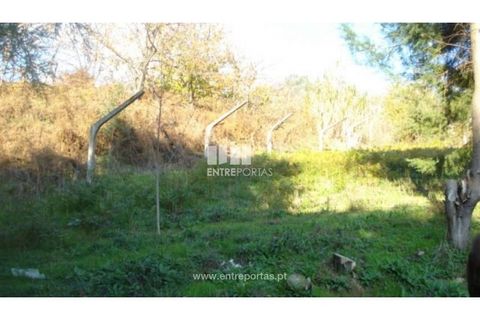 Helårsgrund i Baiao, Porto, Baiao - € 56.500 | Ref: MC06362 - foto 5