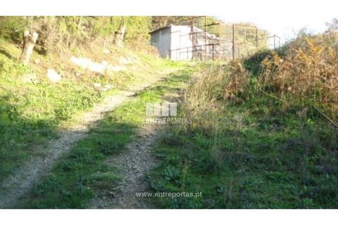 Helårsgrund i Baiao, Porto, Baiao - € 56.500 | Ref: MC06362 - foto 6