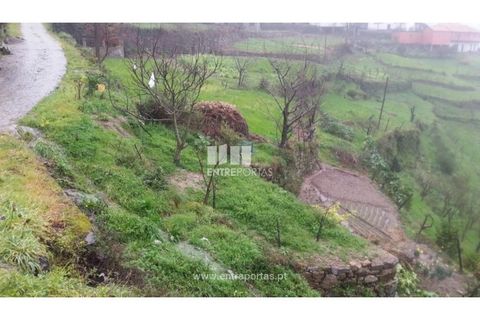 Tomt i Ancede e Ribadouro, Porto, Ancede e Ribadouro - € 50 000 | Ref: MC06492 - foto 2