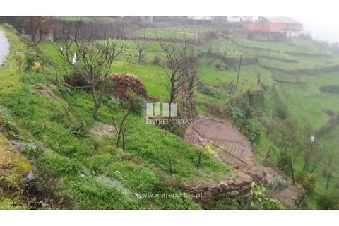 Tomt i Ancede e Ribadouro, Porto, Ancede e Ribadouro - € 50 000 | Ref: MC06492 - foto 4