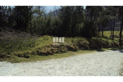 Helårsgrund i Ancede e Ribadouro, Porto, Ancede e Ribadouro - € 90.000 | Ref: MC06587 - foto 25