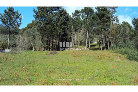 Helårsgrund i Ancede e Ribadouro, Porto, Ancede e Ribadouro - € 90.000 | Ref: MC06587 - foto 2