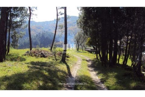 Helårsgrund i Ancede e Ribadouro, Porto, Ancede e Ribadouro - € 90.000 | Ref: MC06587 - foto 4