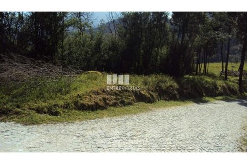 Helårsgrund i Ancede e Ribadouro, Porto, Ancede e Ribadouro - € 90.000 | Ref: MC06587 - foto 5