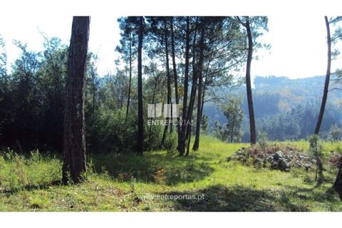 Helårsgrund i Ancede e Ribadouro, Porto, Ancede e Ribadouro - € 90.000 | Ref: MC06587 - foto 6