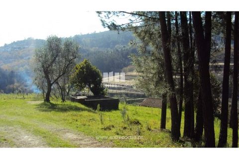 Helårsgrund i Ancede e Ribadouro, Porto, Ancede e Ribadouro - € 90.000 | Ref: MC06587 - foto 7