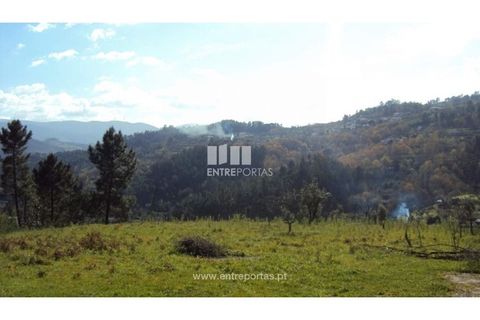 Helårsgrund i Ancede e Ribadouro, Porto, Ancede e Ribadouro - € 90.000 | Ref: MC06587 - foto 8