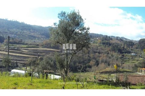 Helårsgrund i Ancede e Ribadouro, Porto, Ancede e Ribadouro - € 90.000 | Ref: MC06587 - foto 9