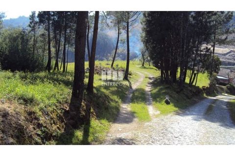 Helårsgrund i Ancede e Ribadouro, Porto, Ancede e Ribadouro - € 90.000 | Ref: MC06587 - foto 10