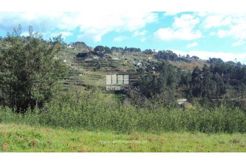 Helårsgrund i Ancede e Ribadouro, Porto, Ancede e Ribadouro - € 90.000 | Ref: MC06587 - foto 11