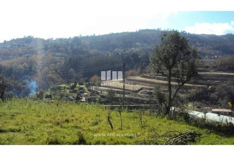 Helårsgrund i Ancede e Ribadouro, Porto, Ancede e Ribadouro - € 90.000 | Ref: MC06587 - foto 13