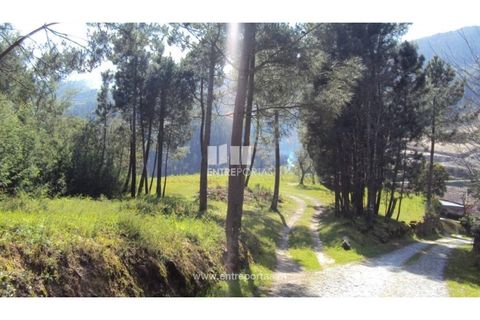Helårsgrund i Ancede e Ribadouro, Porto, Ancede e Ribadouro - € 90.000 | Ref: MC06587 - foto 14