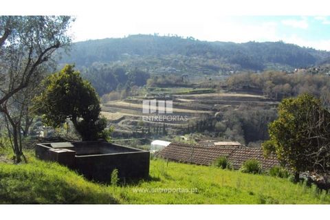 Helårsgrund i Ancede e Ribadouro, Porto, Ancede e Ribadouro - € 90.000 | Ref: MC06587 - foto 16
